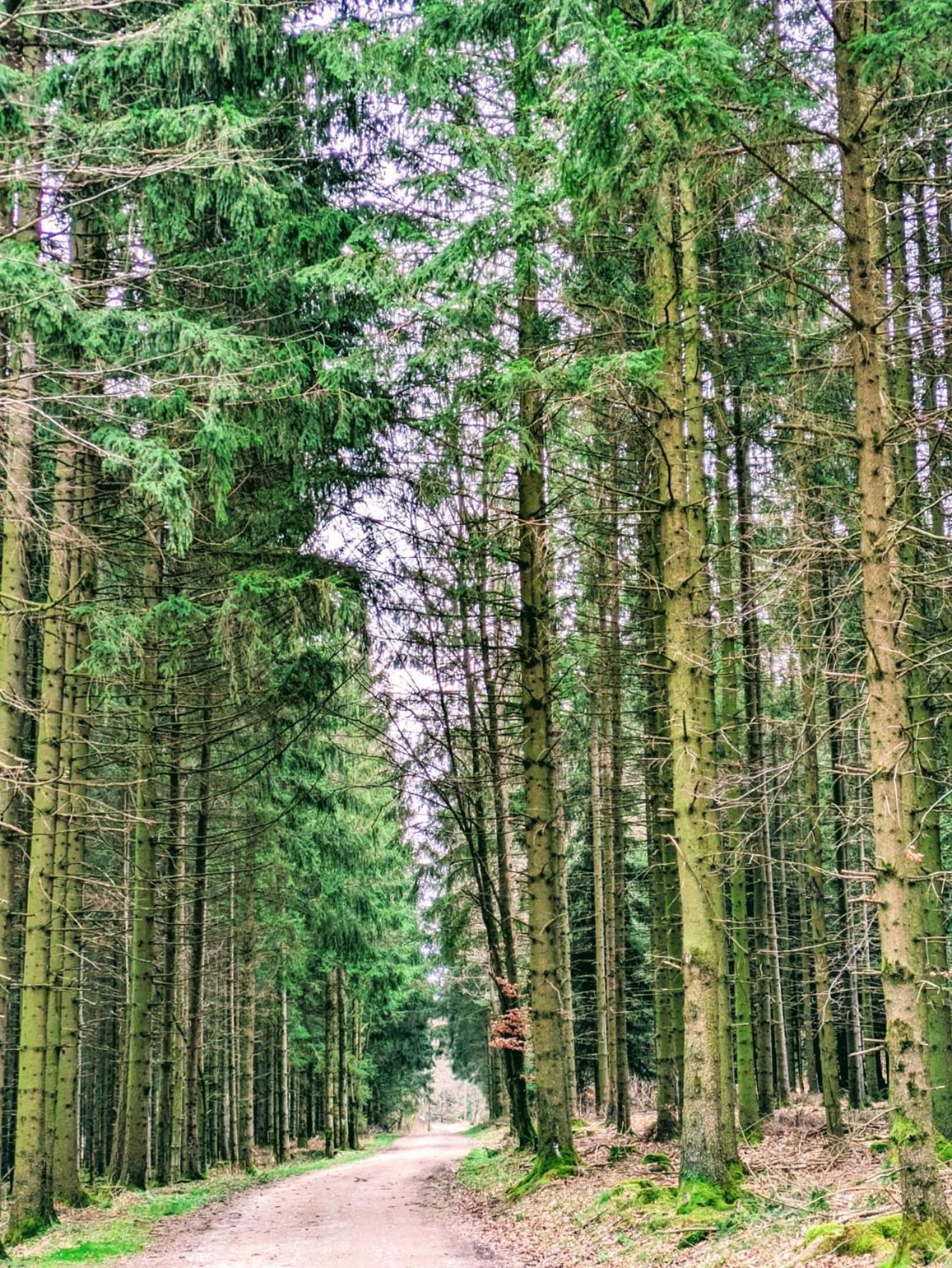 Haus Paradiesecke Waldbrunn  Esterno foto
